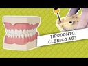 TIPODONTO CLONICO FRASACO AG-3 ADULTO