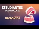 TIPODONTO DE PERIODONCIA CON ARTICULADOR