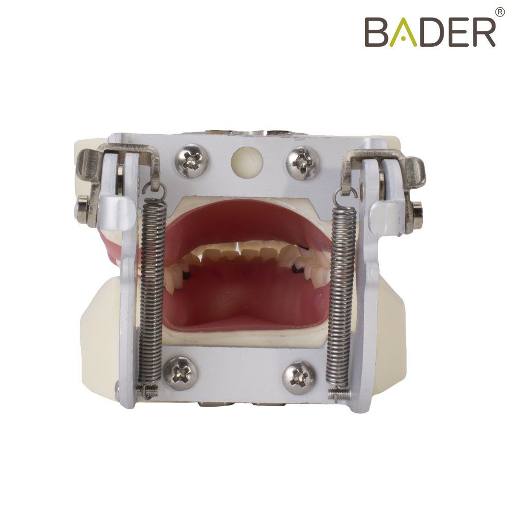 TIPODONTO DE PERIODONCIA CON ARTICULADOR