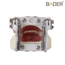 TIPODONTO DE PERIODONCIA CON ARTICULADOR