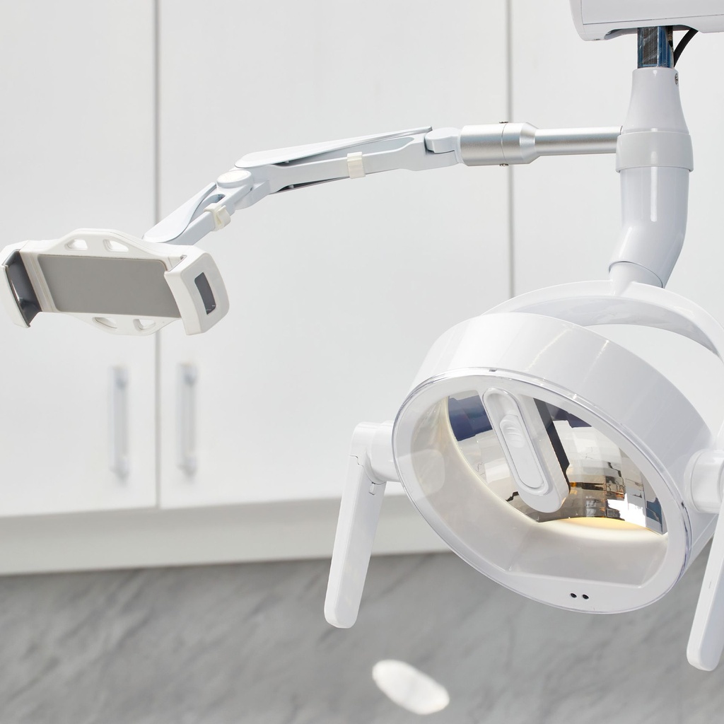 sftym1argentina d.jpg