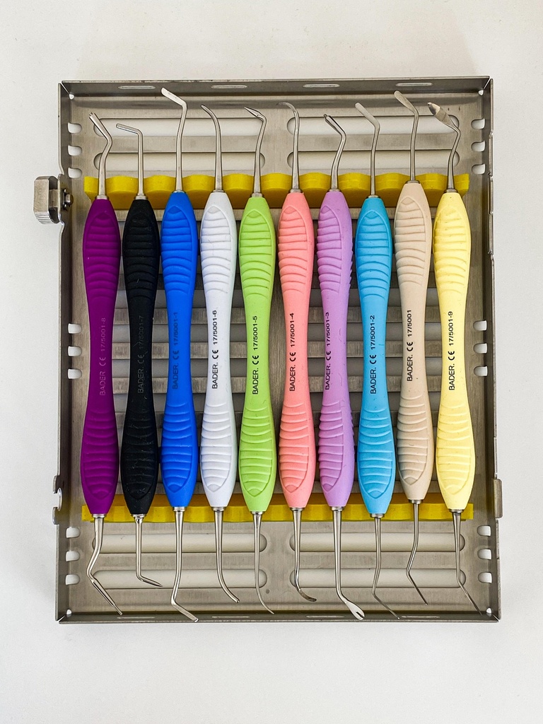 KIT DE 10 ESPATULAS CON CASETE METALICO