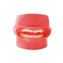 TIPODONTO COMPLETO CON CARRILLO Y DRENAJE PARA MODELO SIMPLICITY