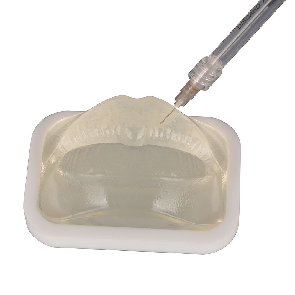 MODELO DE PRÁCTICA LABIO TRANSPARENTE