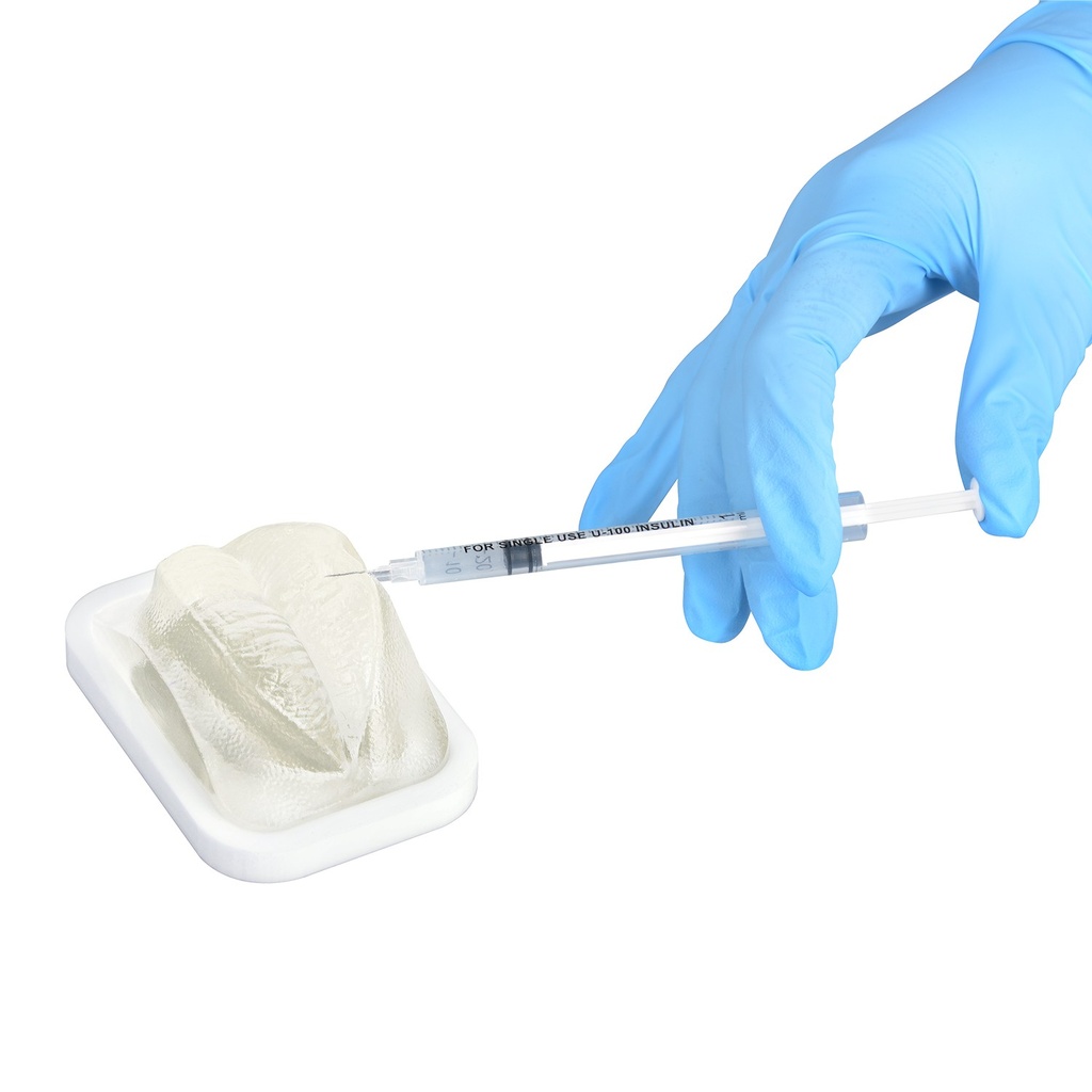 MODELO DE PRÁCTICA LABIO TRANSPARENTE
