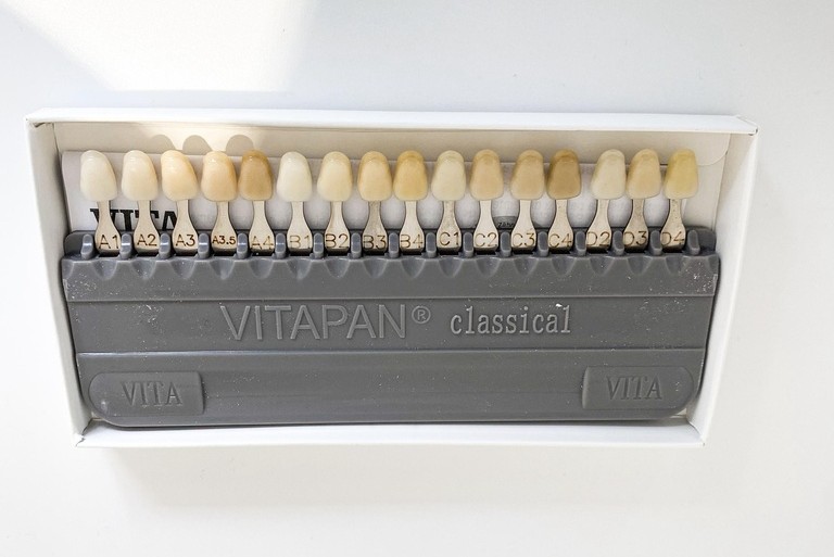 MUESTRARIO DE COLORES VITA 