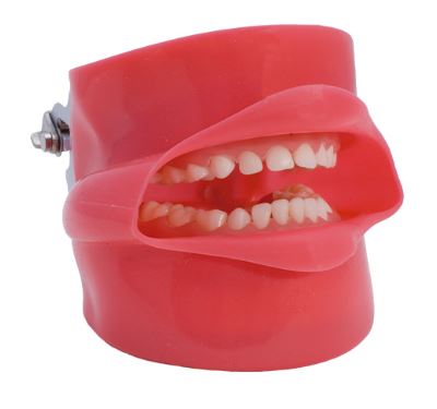 TIPODONTO COMPLETO CON CARRILLO Y DRENAJE PARA FANTOMA SIMPLICITY