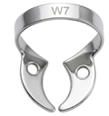 CLAMP W7