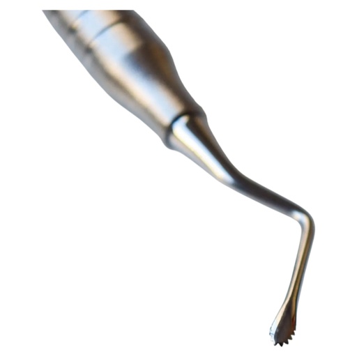 [17/4095] CURETA PARA HUESO CON DIENTES