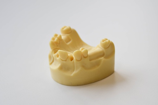 [0905142-4] MODELO DESDENTADO PARCIAL PARA PRÁCTICA DE IMPLANTES