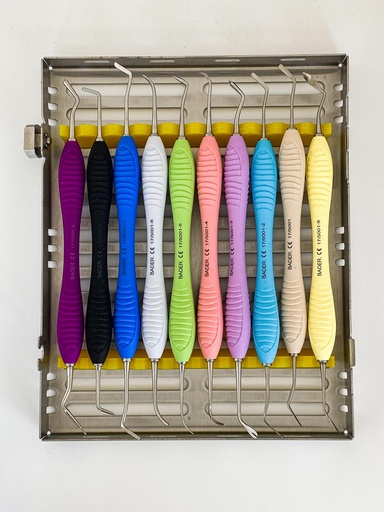 [K0005] KIT DE 10 ESPATULAS PARA COMPOSITE BADERMASTER CON CASETE METALICO