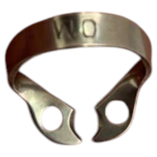 [17/4069-3] CLAMP W0