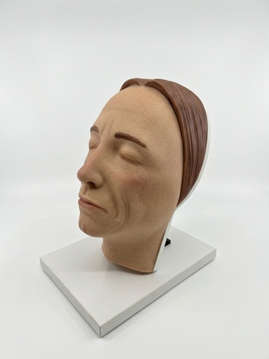[0905164] MODELO FACIAL PARA PRÁCTICAS DE INYECCIÓN EN ESTÉTICA
