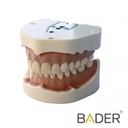 [0905000-5UD] TIPODONTO CLONICO FRASACO ANA-4 COMPATIBLE