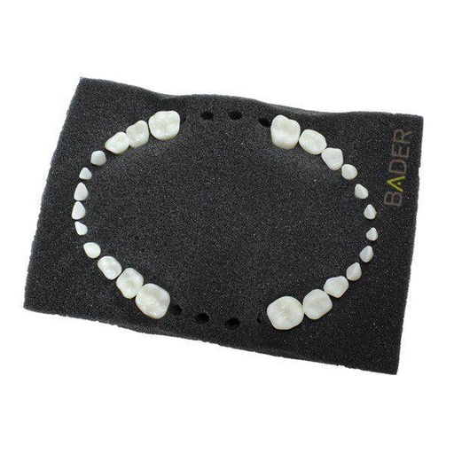 [0905138-1] SET 32 DIENTES REPOSICIÓN PARA TIPODONTO NISSIN ADULTO